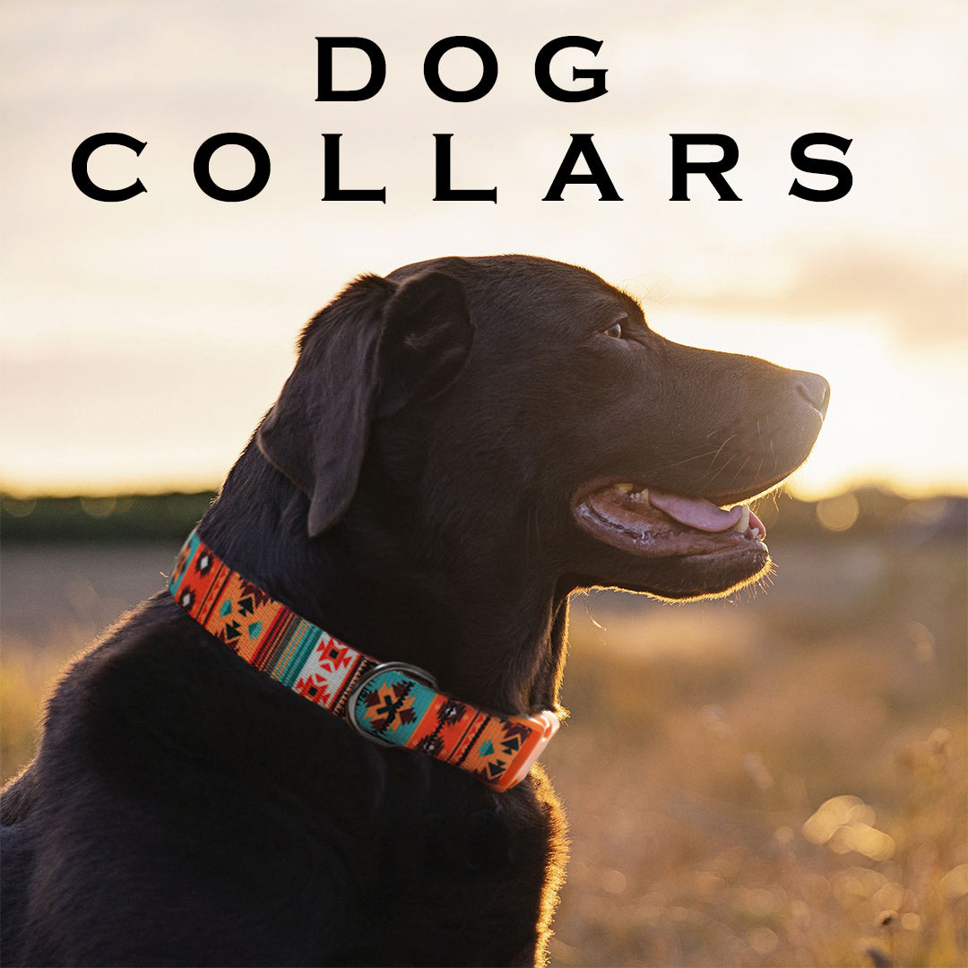 Scandinavian Custom Dog Collar – Budka Shop