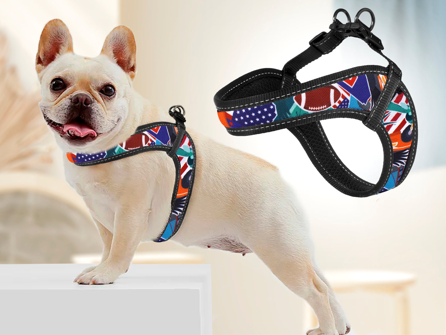 Travel Dog Harness with Name