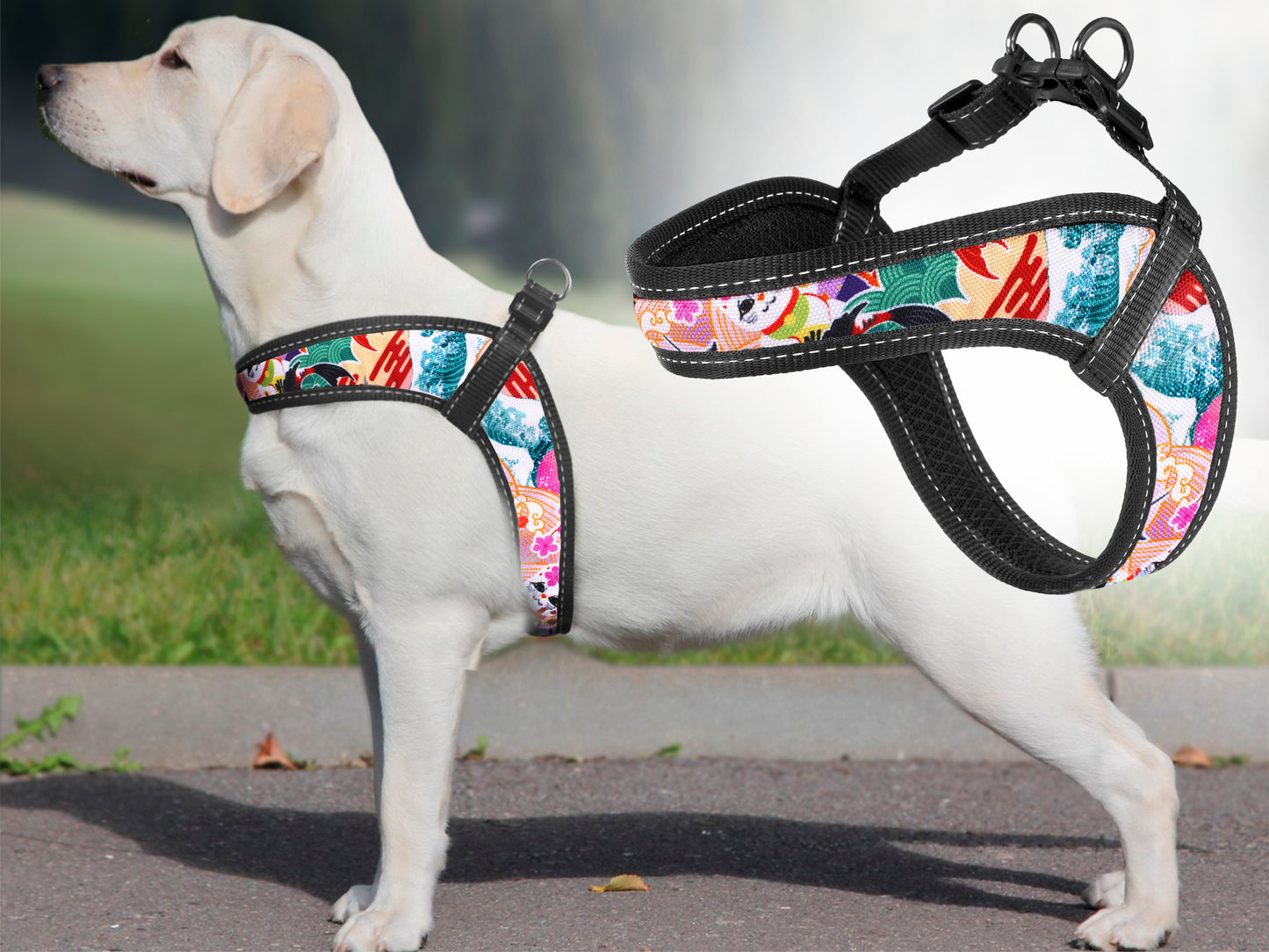 Travel Dog Harness with Name