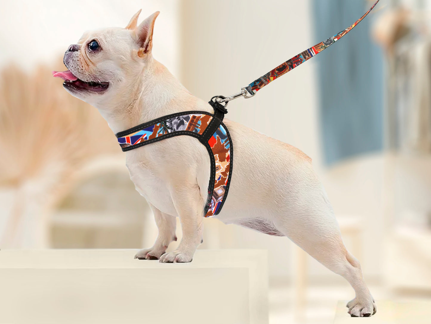 Travel Dog Harness with Name