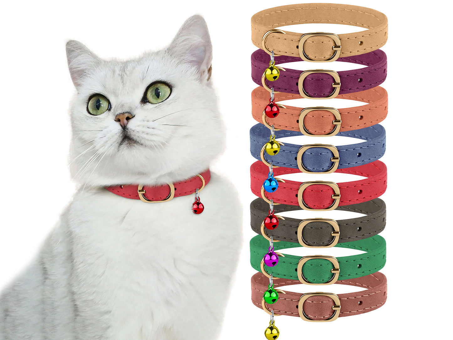 Leather Cat Collar with Classic Buckle