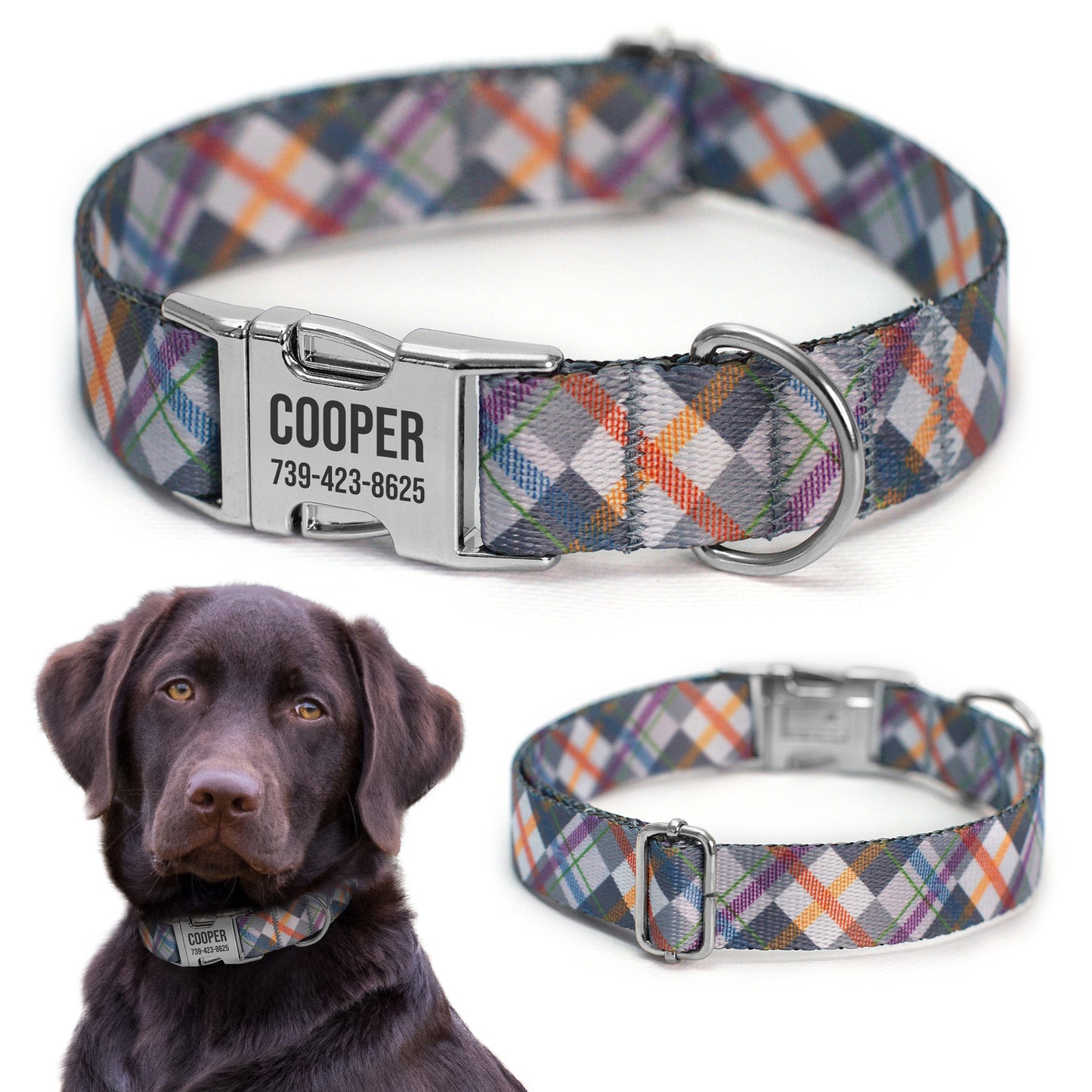 Dog Collar with Metal Buckle