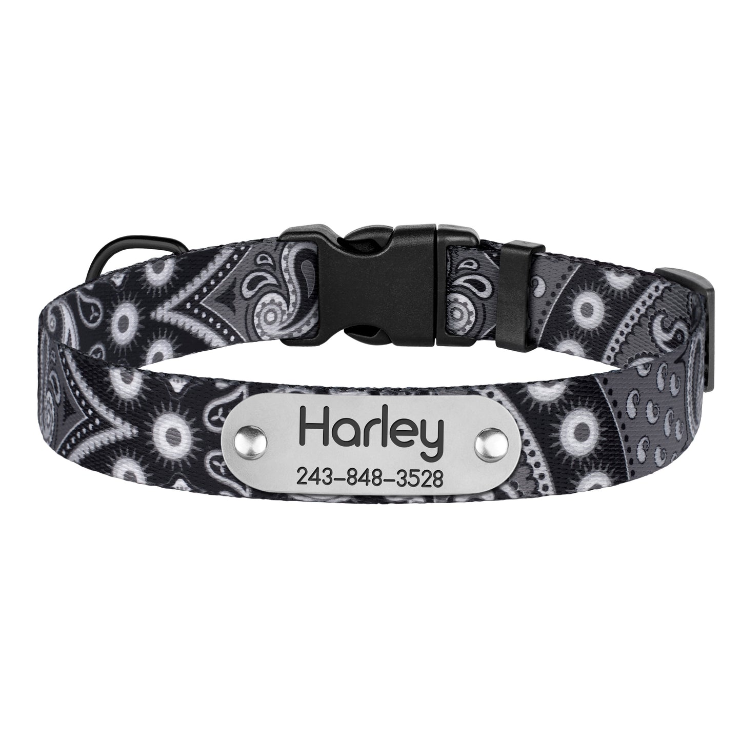 Nylon Dog Collar with Plastic Buckle