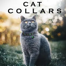 Printed Cat Collars