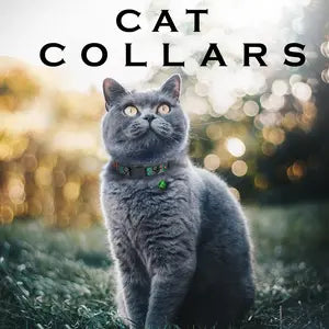 Printed Cat Collars