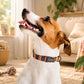Nature's Palette dog collar – texture and material close-up