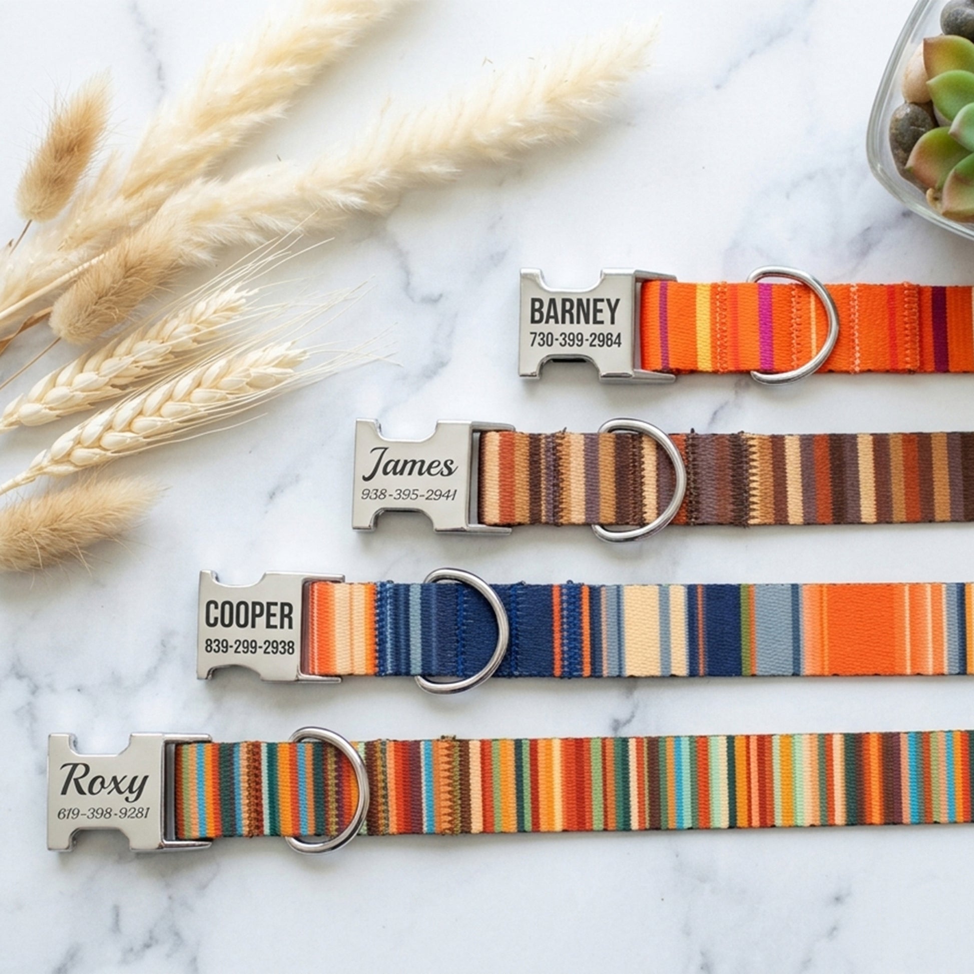 Striped dog collar with engraved nameplate – side view on marble surface