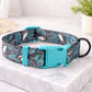 Dog collar with blue buckle on a marble surface