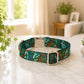 Green floral-patterned dog collar on a marble surface with a home interior background