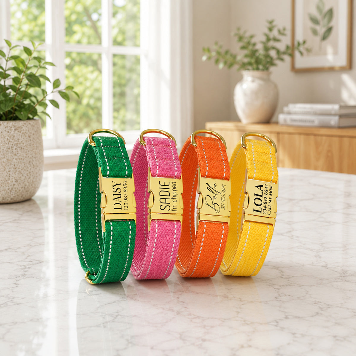 Four colorful dog collars with gold buckles on a marble surface.