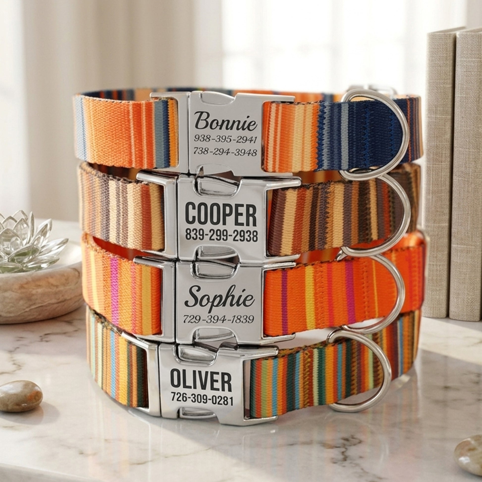 Personalized striped dog collar with engraved metal buckle – retro pattern detail