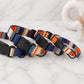 Striped dog collar with custom engraving – color variant overview