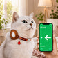 Personalized artistic AirTag cat collar – pattern close-up