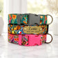 States Edition dog collar – lifestyle photo on dog