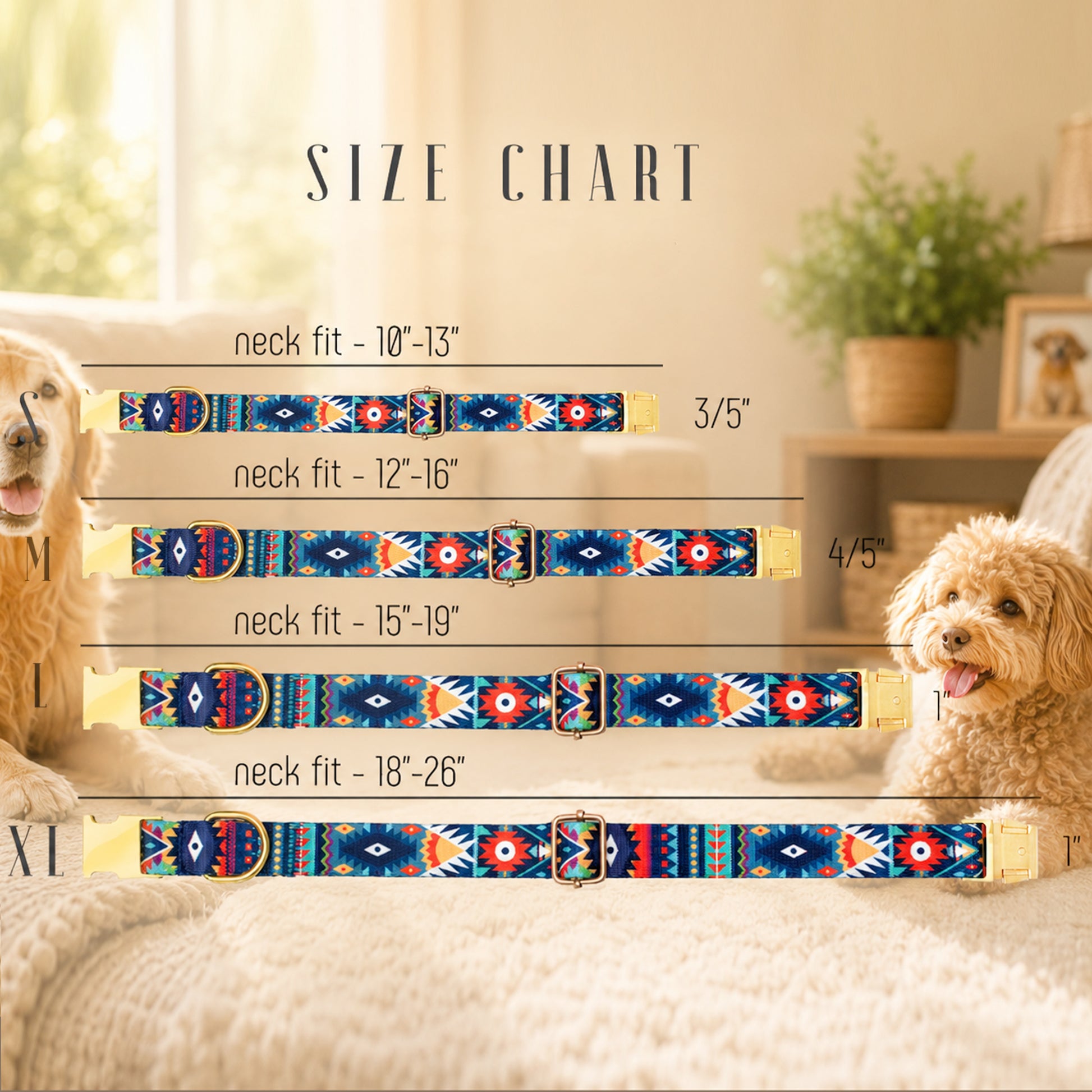 Dog collar size chart with dogs and measurements on a light background