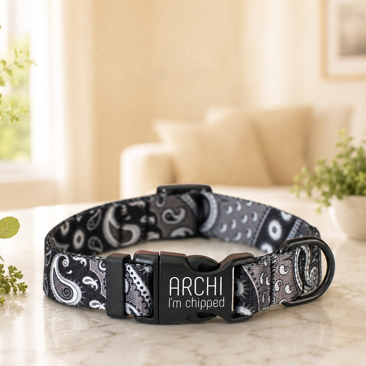 Black and white patterned dog collar with 'Archi I'm chipped' tag on a marble surface.