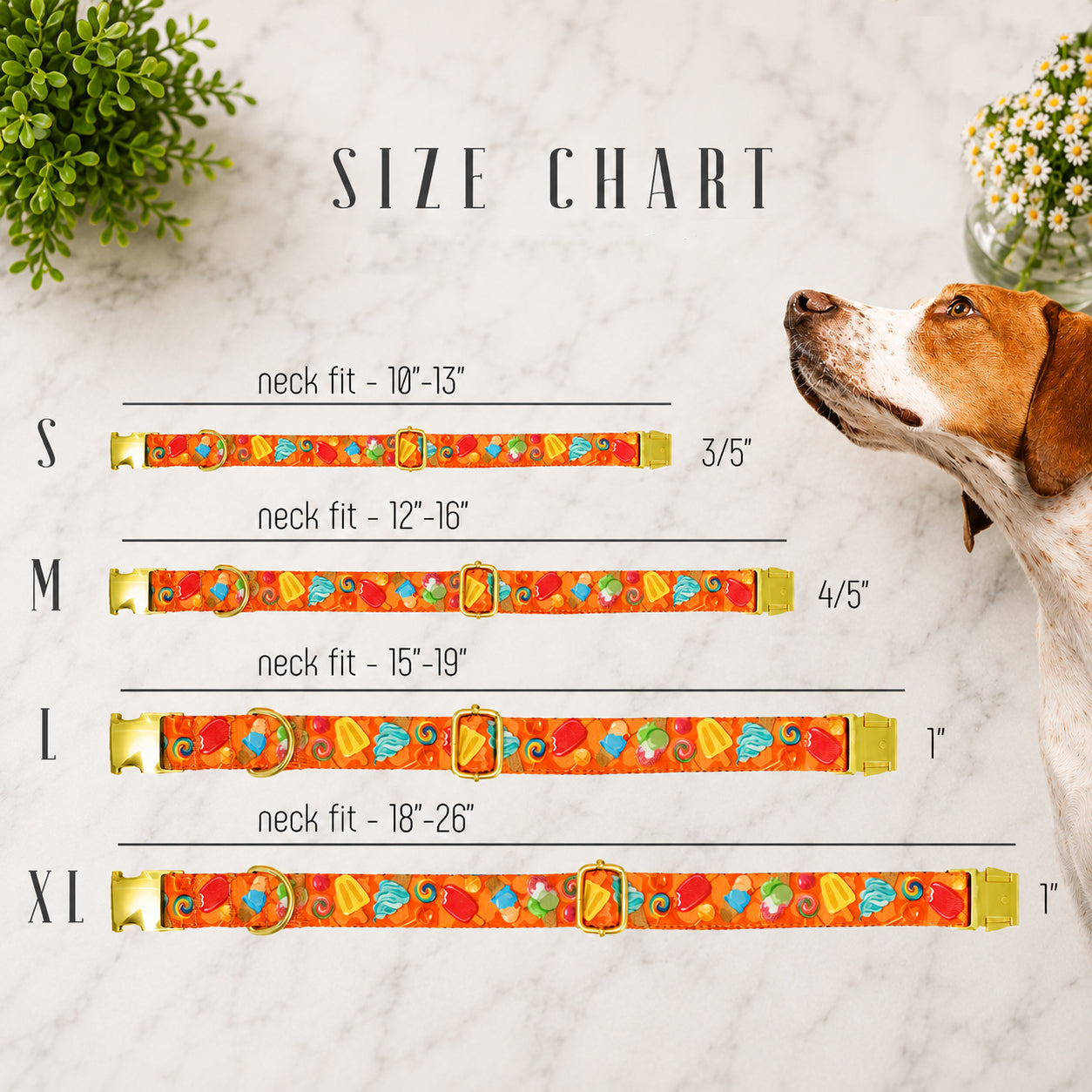 Dog collar size chart with a dog on a marble background