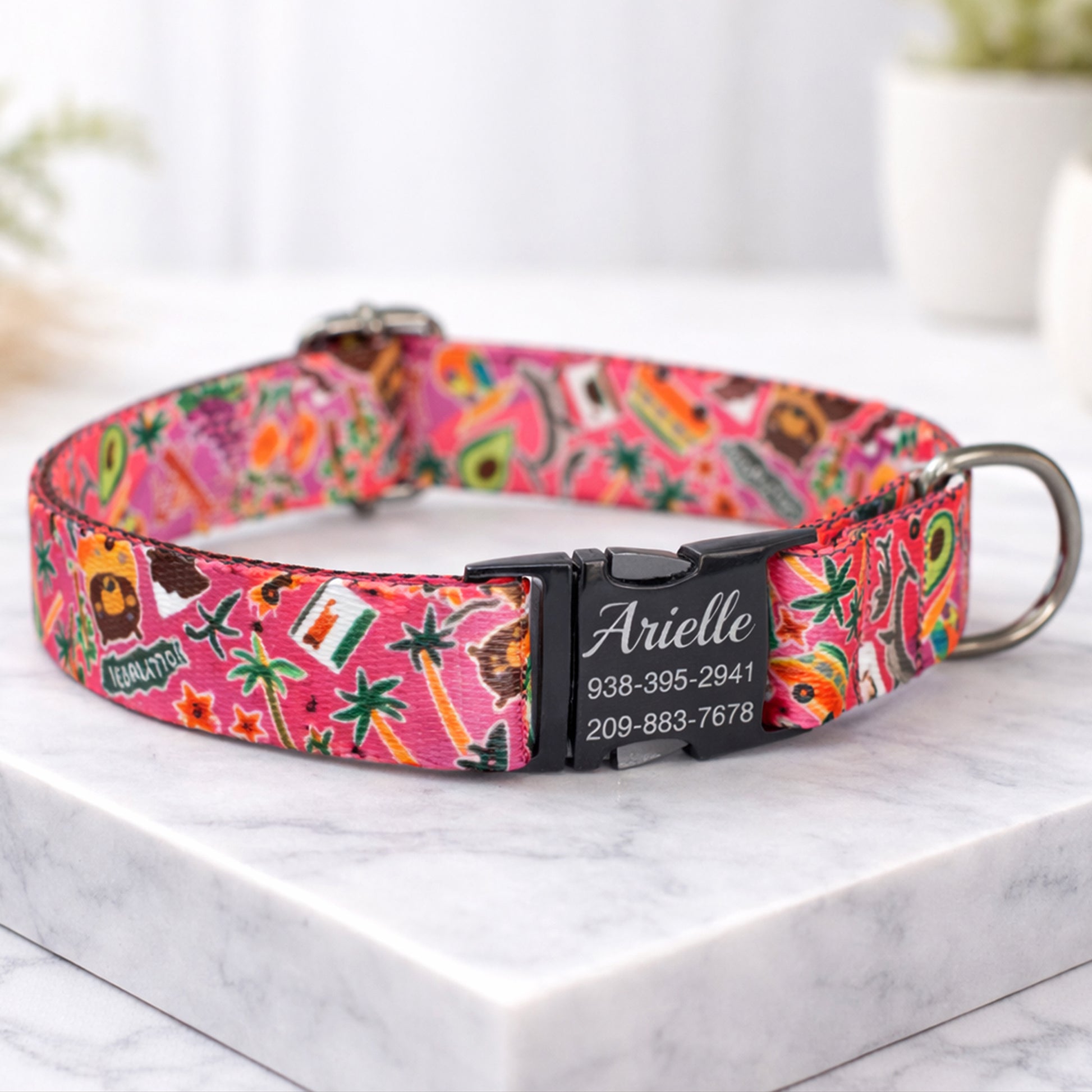 Custom engraved safety buckle dog collar – buckle detail close-up