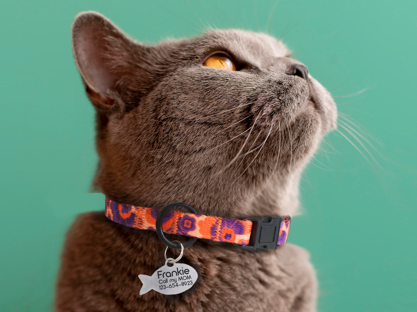 Floral Cat Collar Breakaway with Personalization