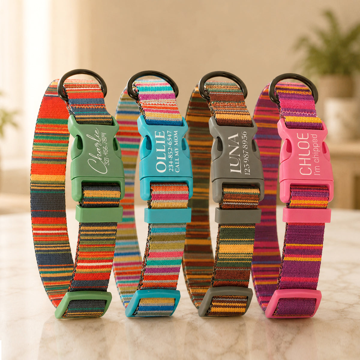 Personalized dog collar with nature-inspired design – packaging
