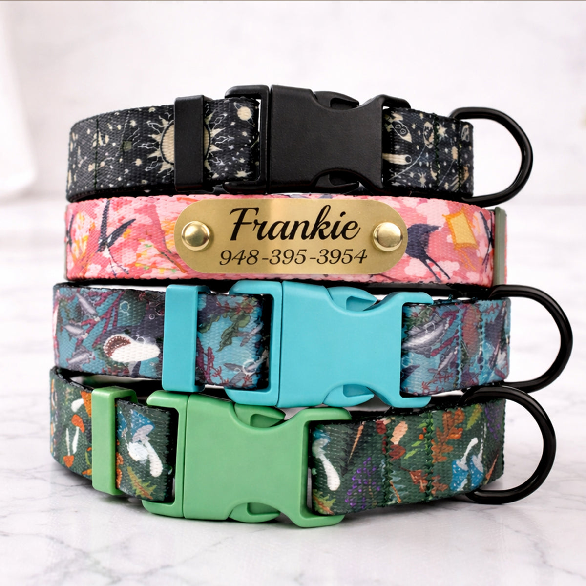 Personalized lightweight dog collar – packaging and product set