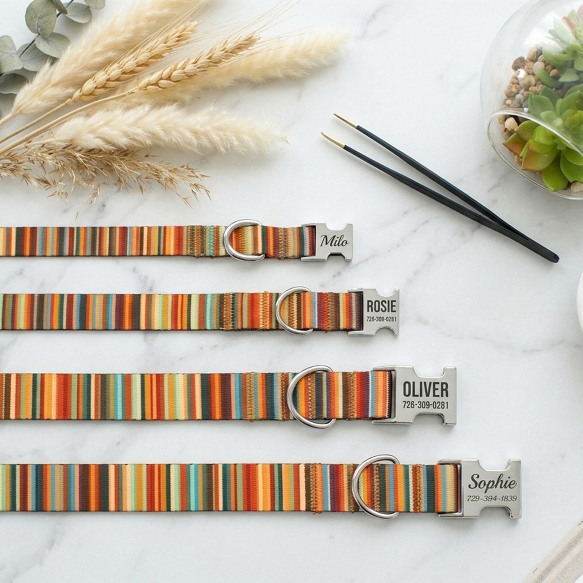 Four striped dog collars with engraved names on a marble surface.