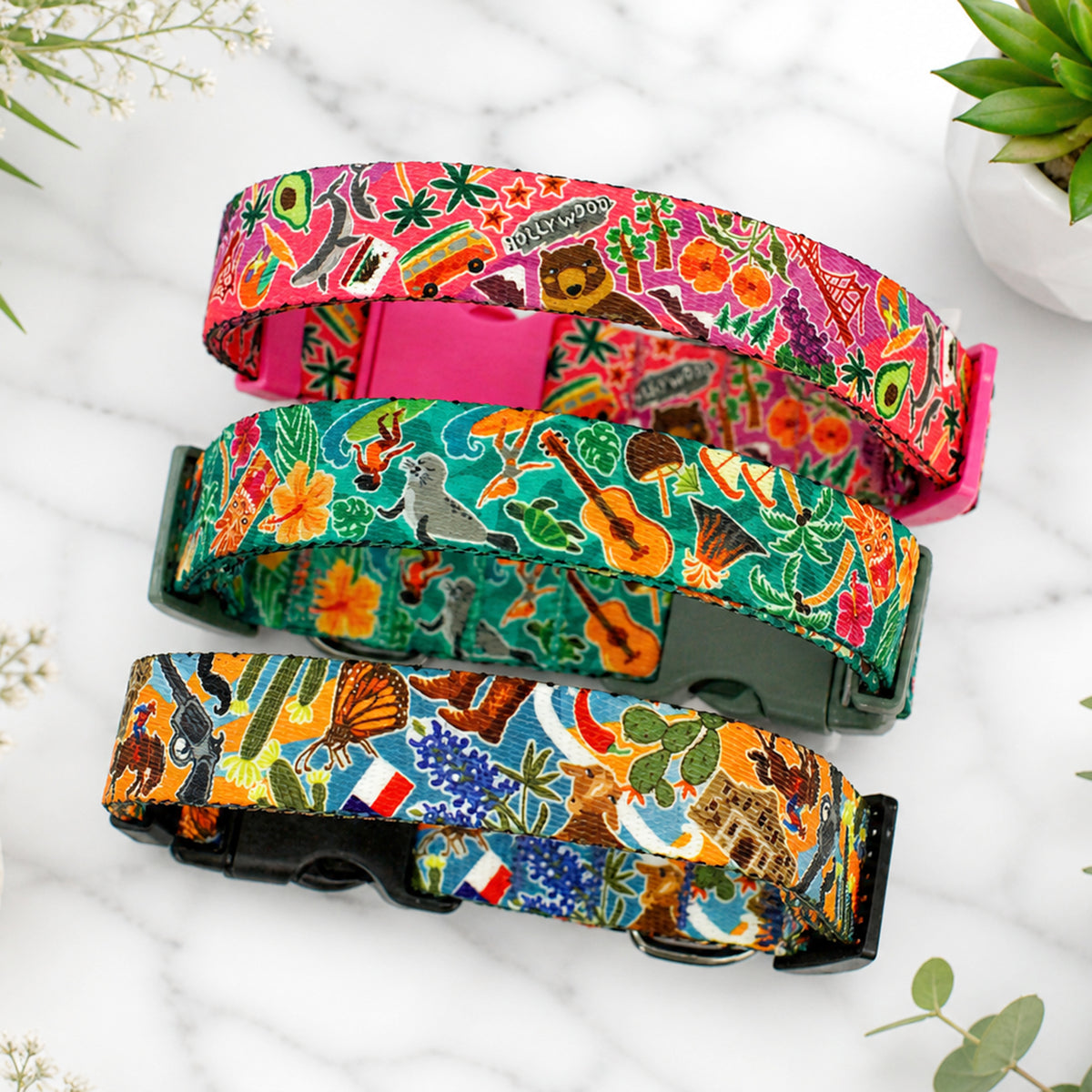 Personalized lightweight dog collar with travel print – packaging
