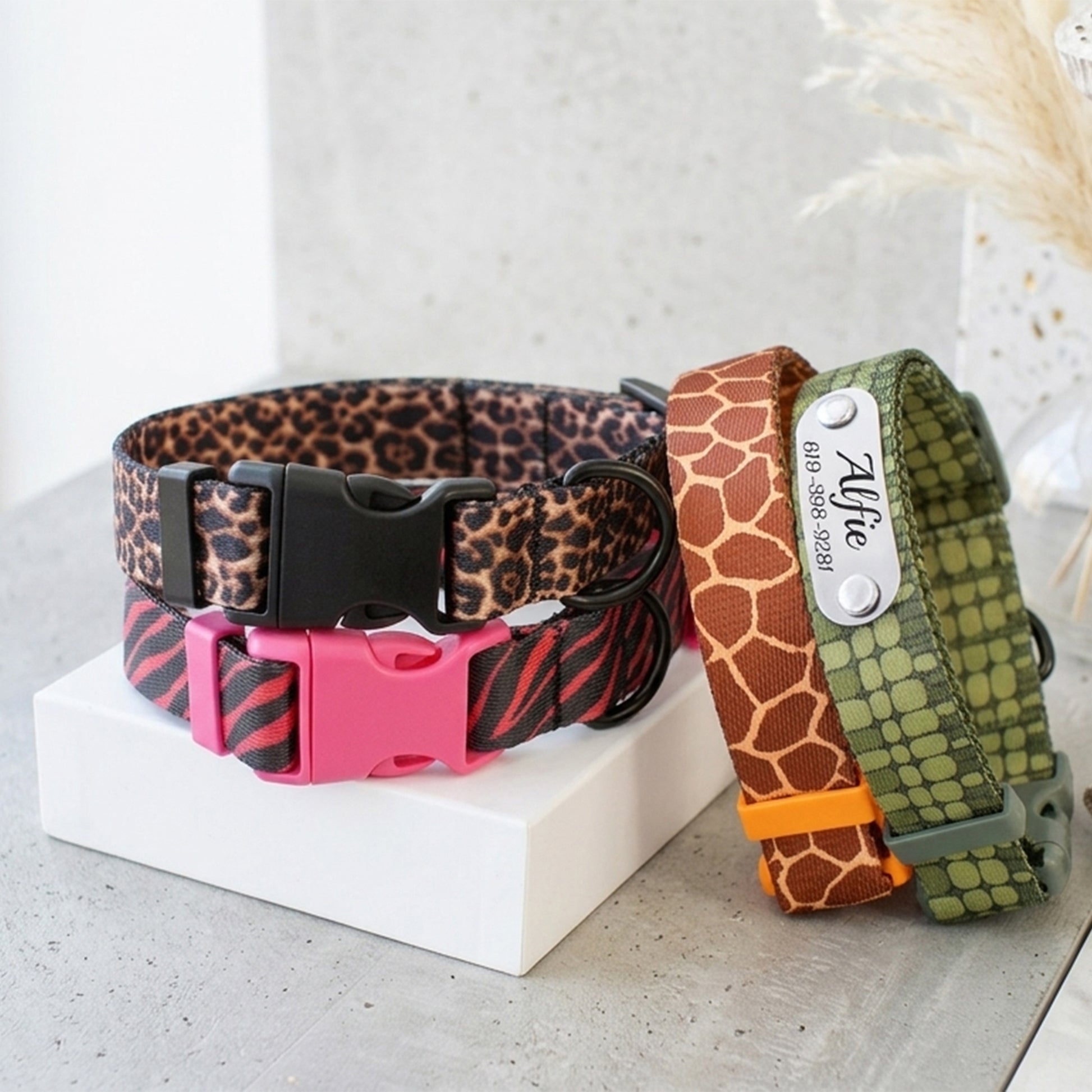 Animal print dog collar – engraved name and phone number detail