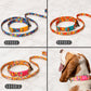 Four different styles of colorful dog collars and leashes with a dog wearing one of them.