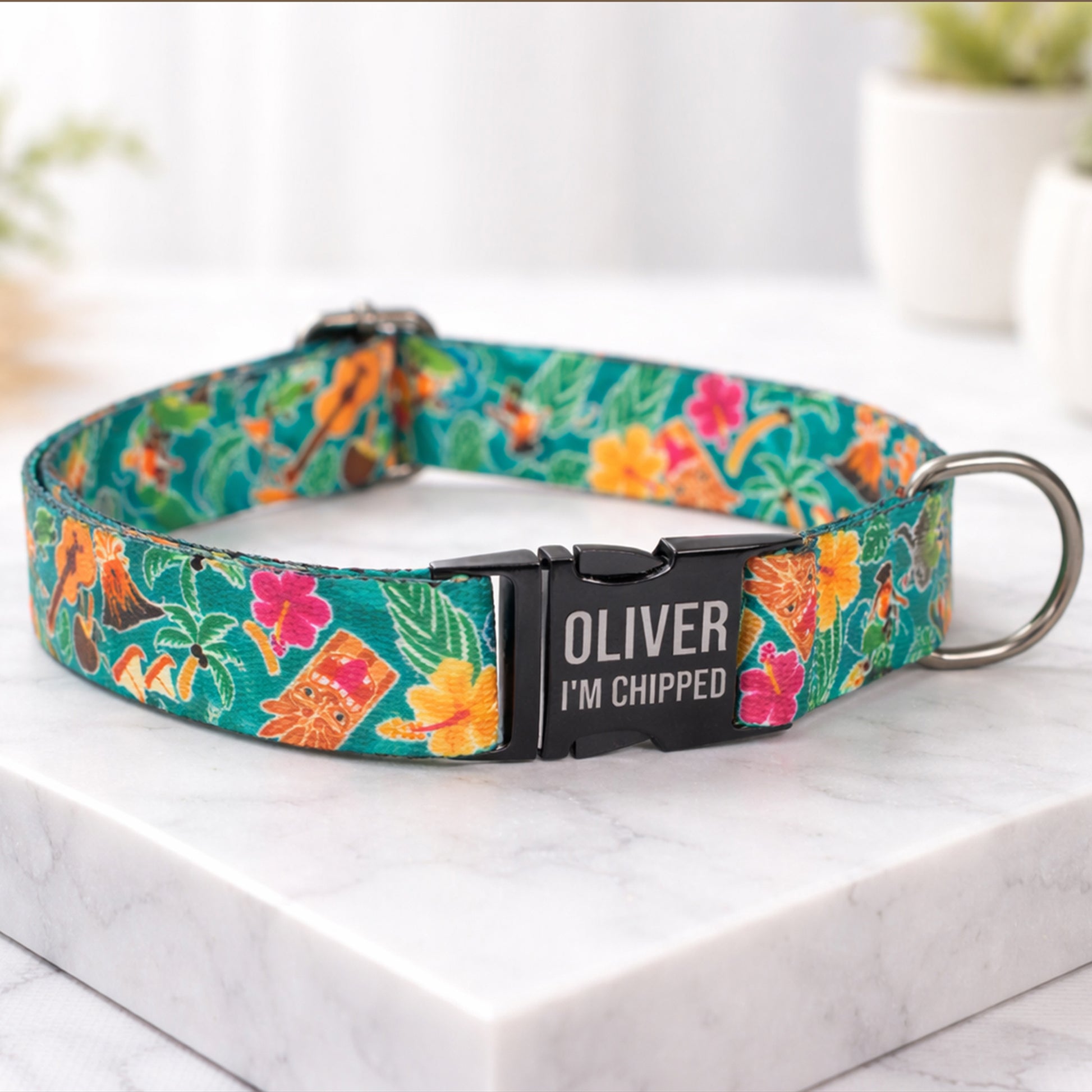 Dog collar with matte black hardware and custom engraving – texture close-up