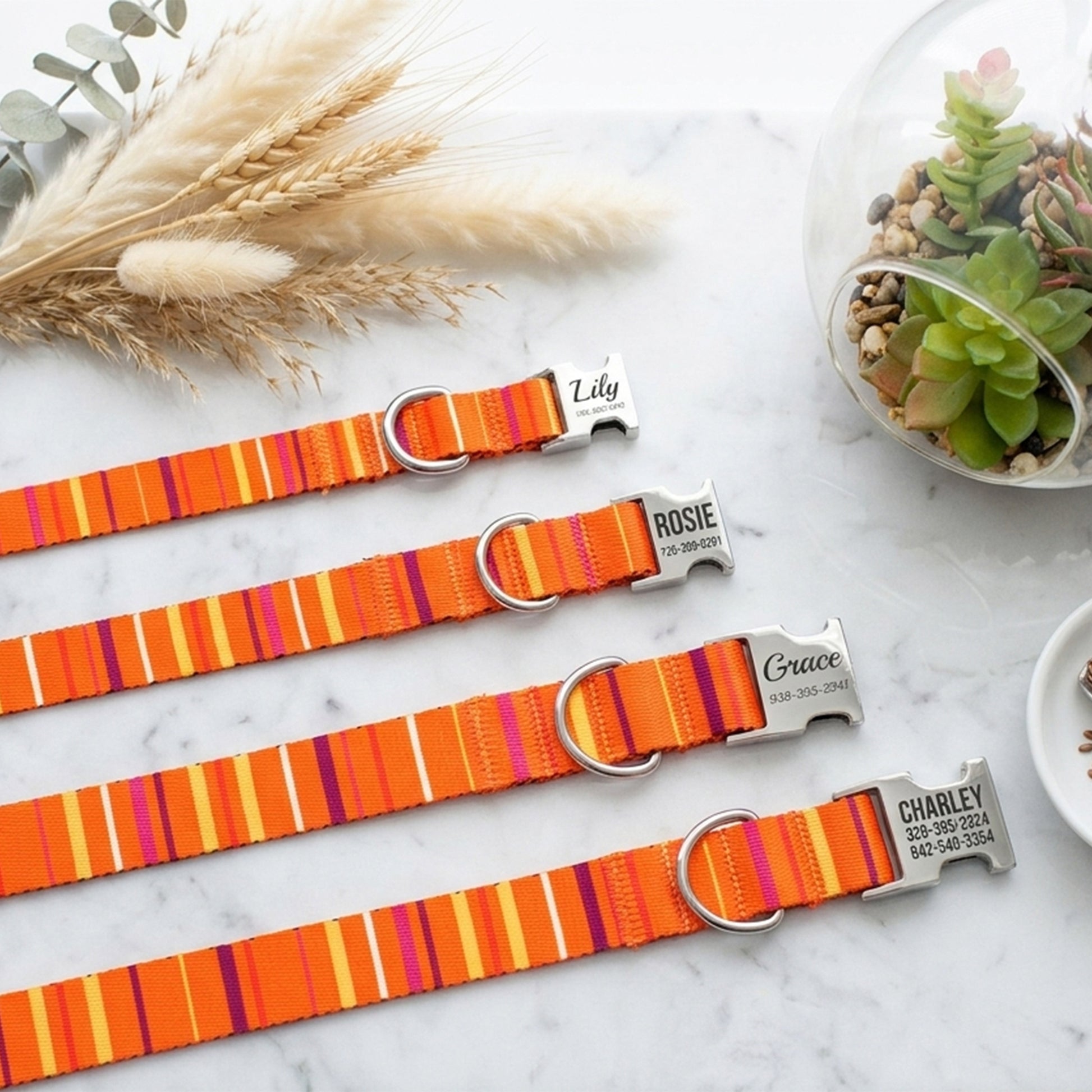 Set of orange striped dog collars with engraved names on a marble surface.
