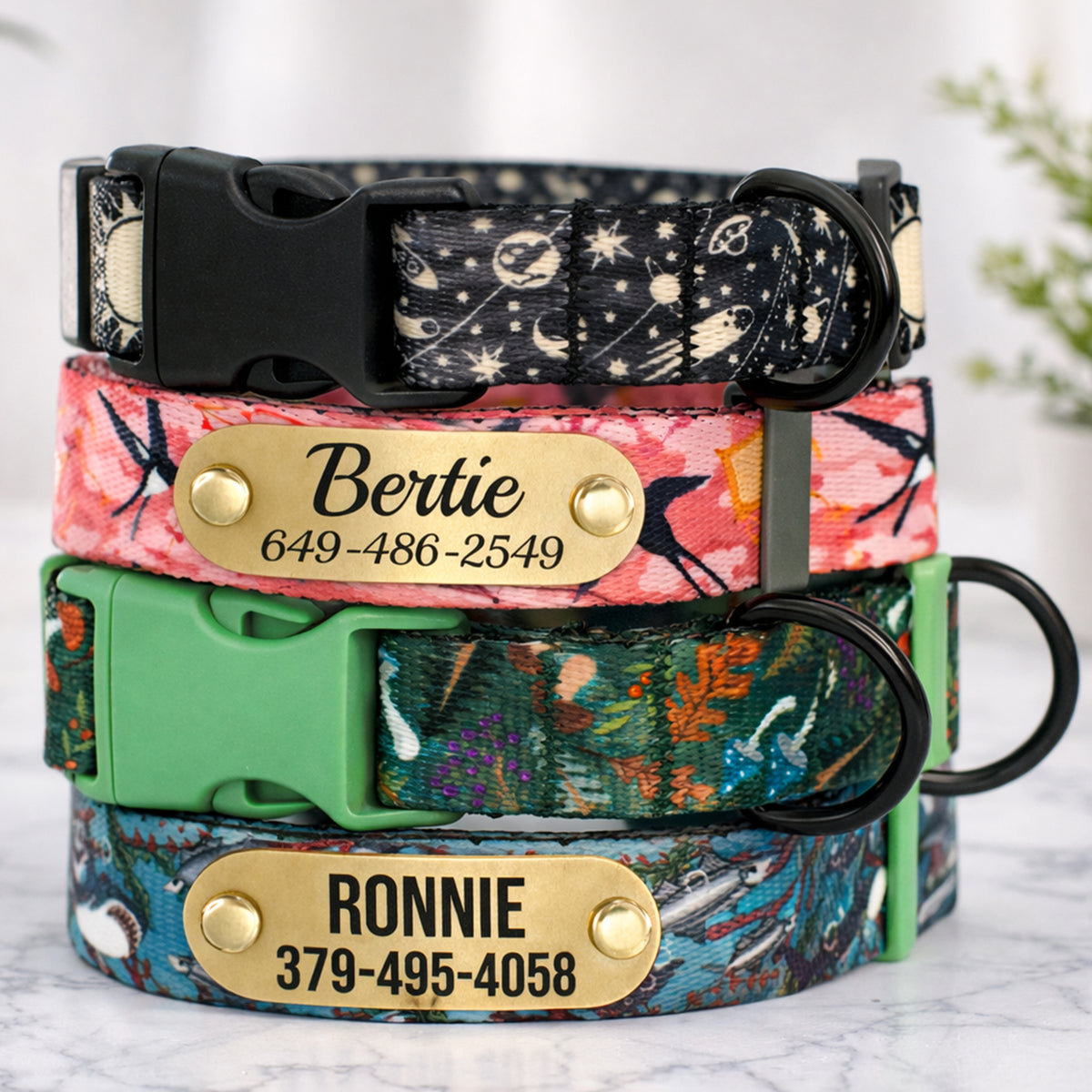 Stack of colorful dog collars with engraved names and phone numbers on a light background