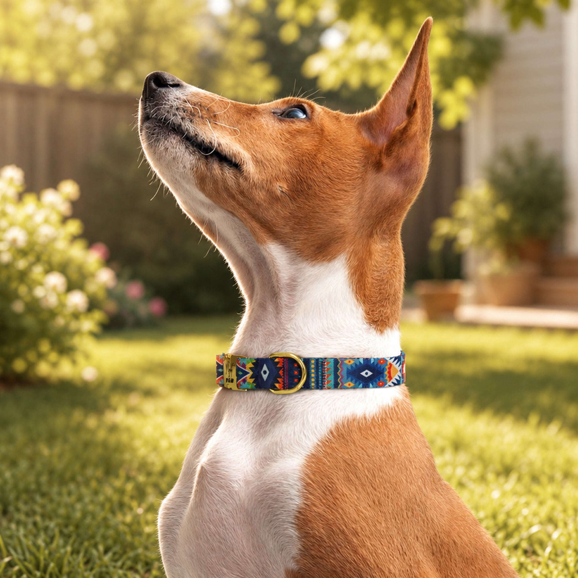 Dog wearing a colorful collar in a garden setting