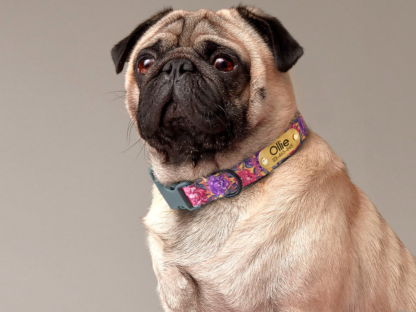 Flower Dog Collar with ID Tag