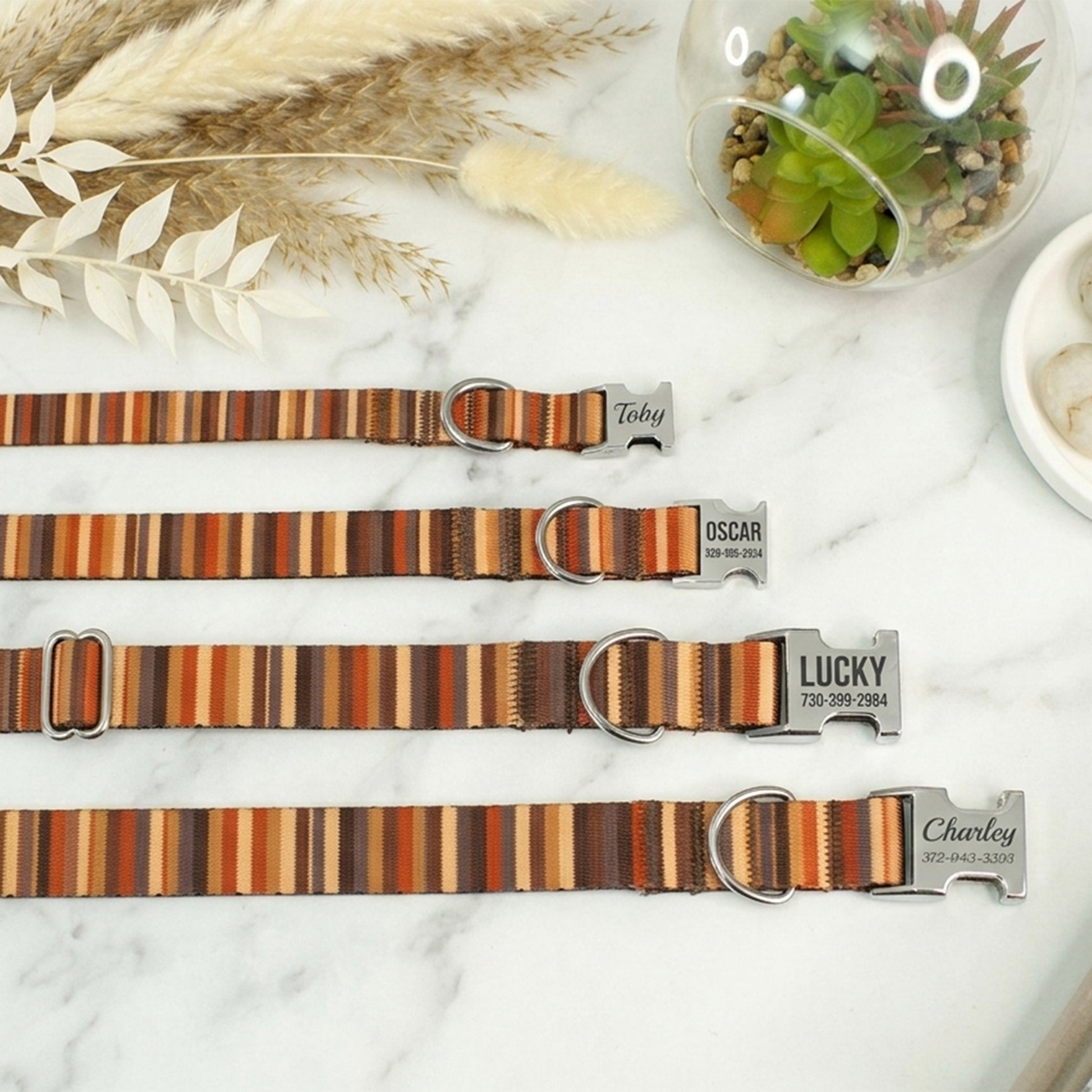 Striped dog collars with engraved names on a marble surface