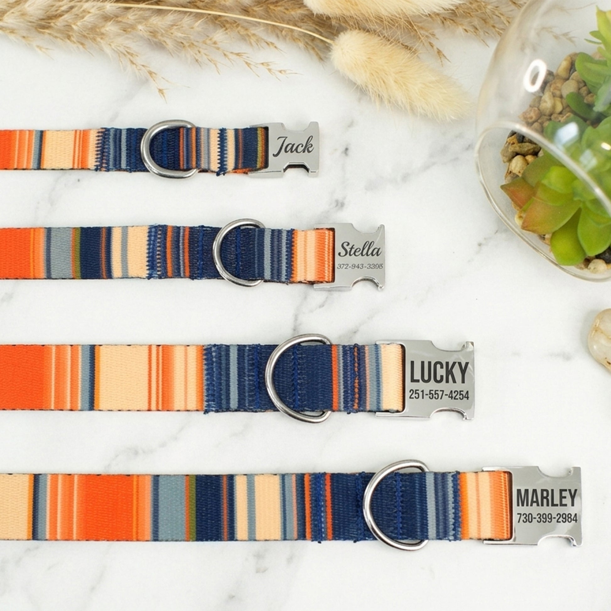 Set of colorful striped dog collars with engraved names on a marble surface.