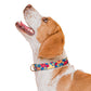 Floral Dog Collar with Metal Buckle