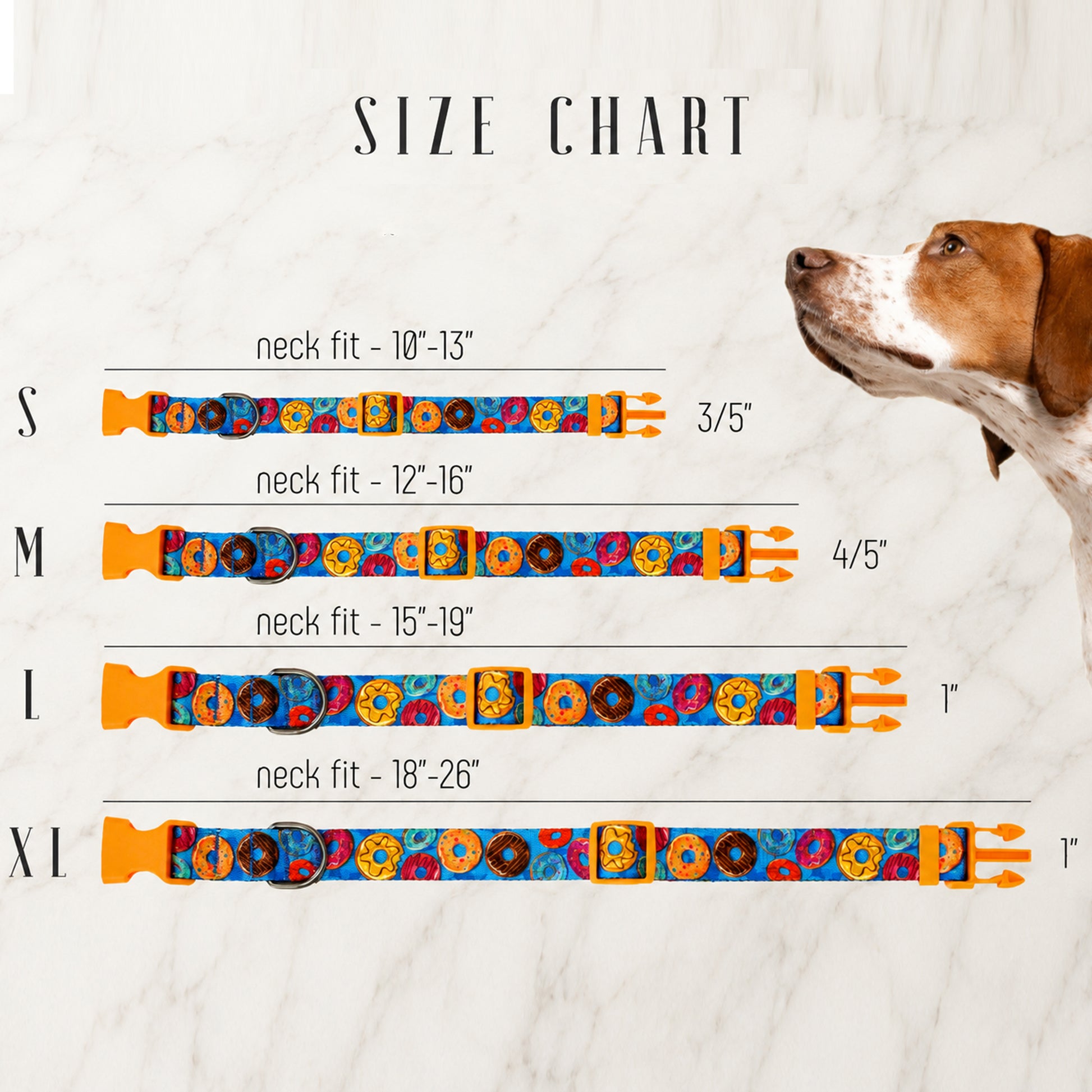 Size chart for colorful dog collars with a dog on a light background