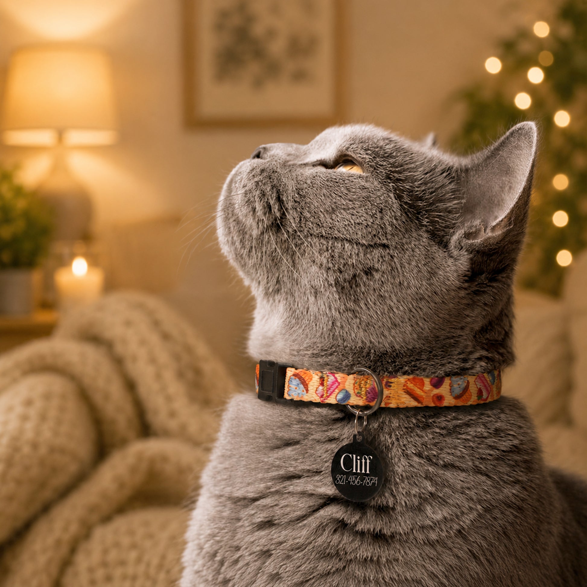 Gray cat wearing a colorful collar with a tag in a cozy living room.