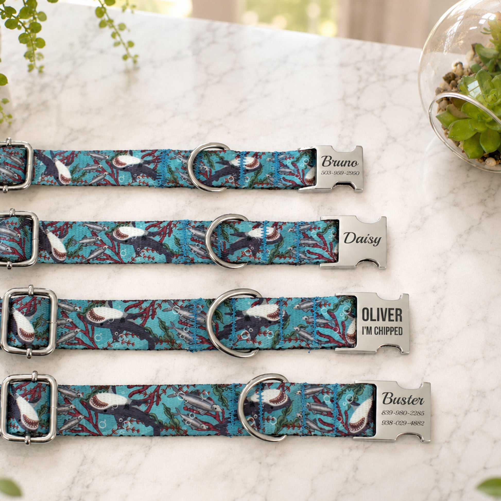 Four dog collars with engraved names on a marble surface.