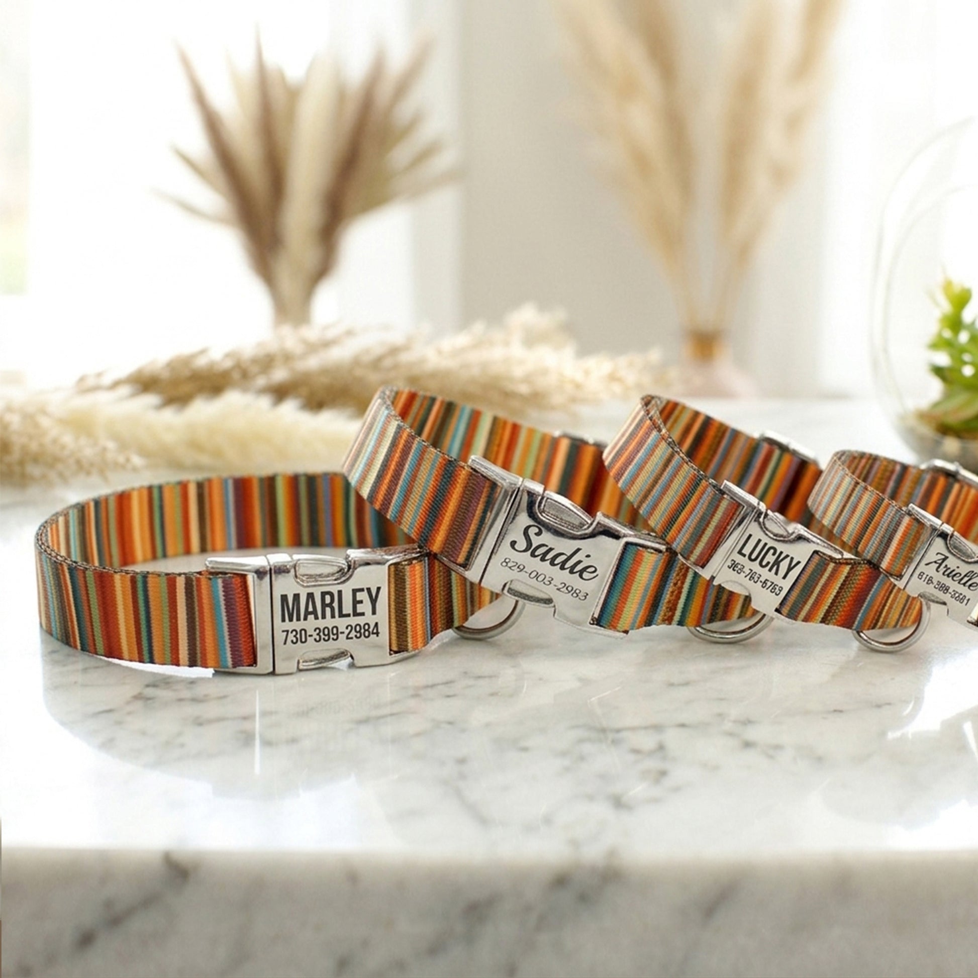 Personalized striped dog collar – packaging and product set