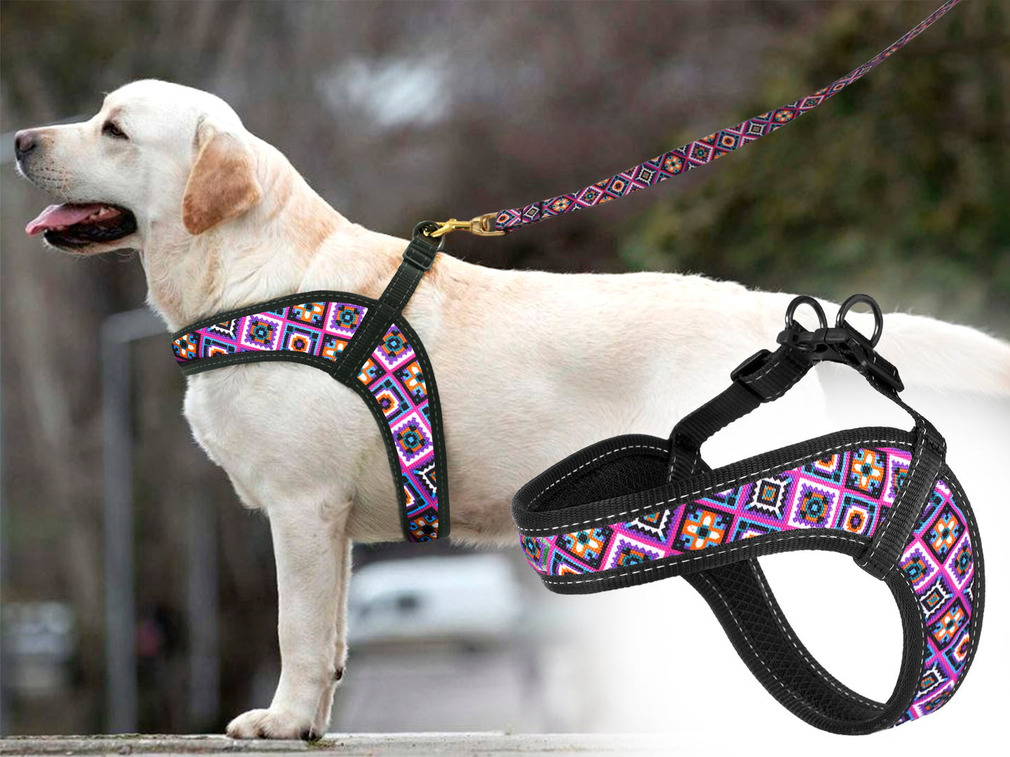 Printed Dog Harness for Small Medium Large Dogs