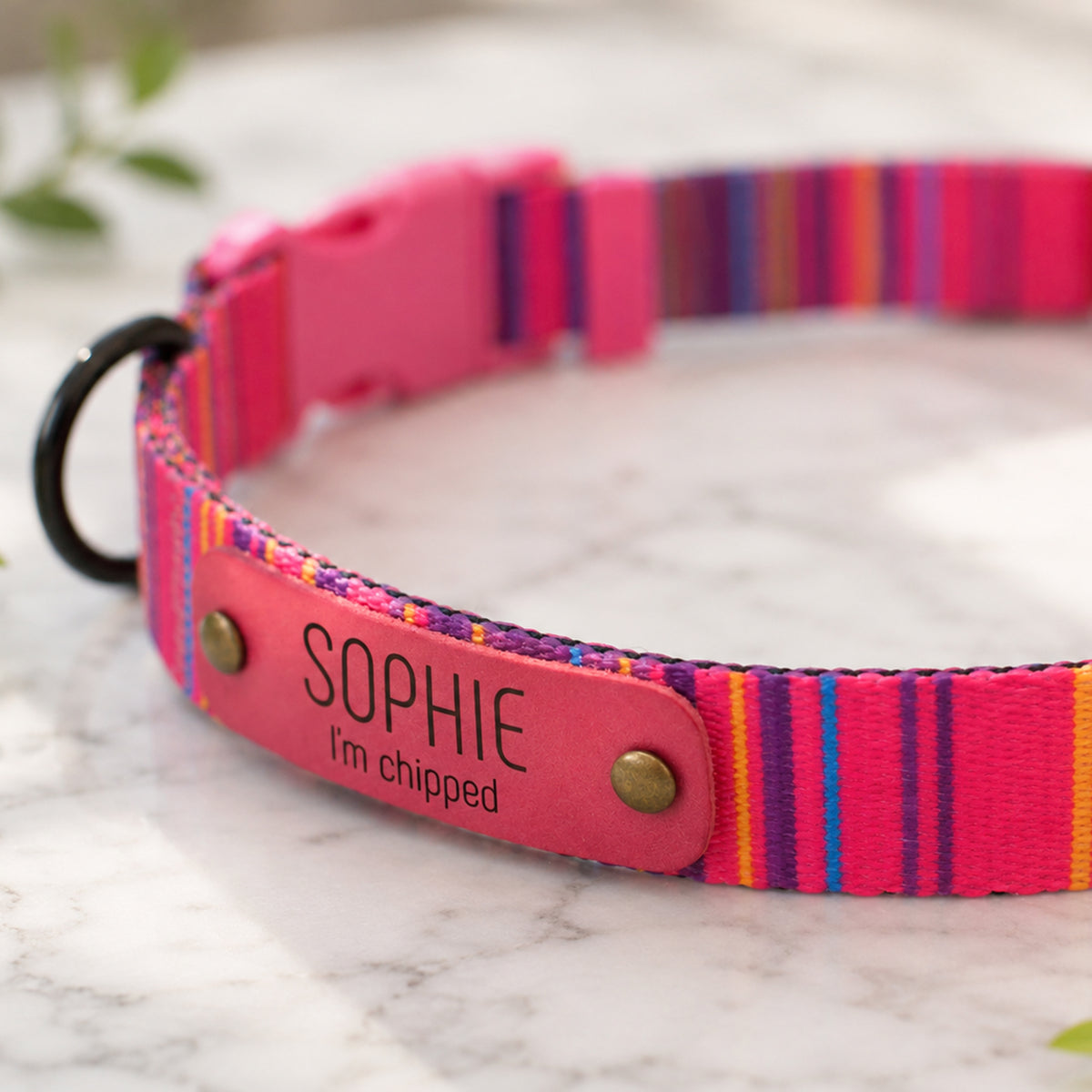 Personalized Nature's Palette dog collar – front view on marble surface