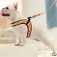 Girl Dog Harness Reflective