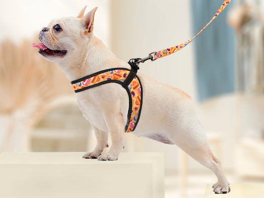 Girl Dog Harness Reflective