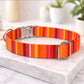 Colorful striped dog collar on a marble surface with a blurred indoor background