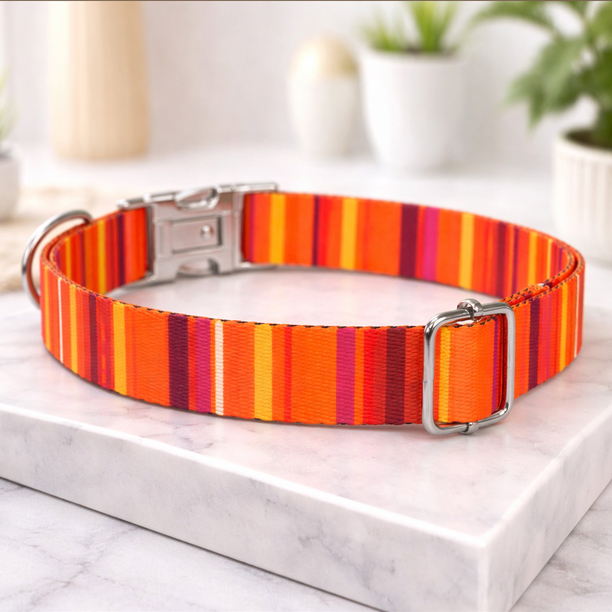 Colorful striped dog collar on a marble surface with a blurred indoor background