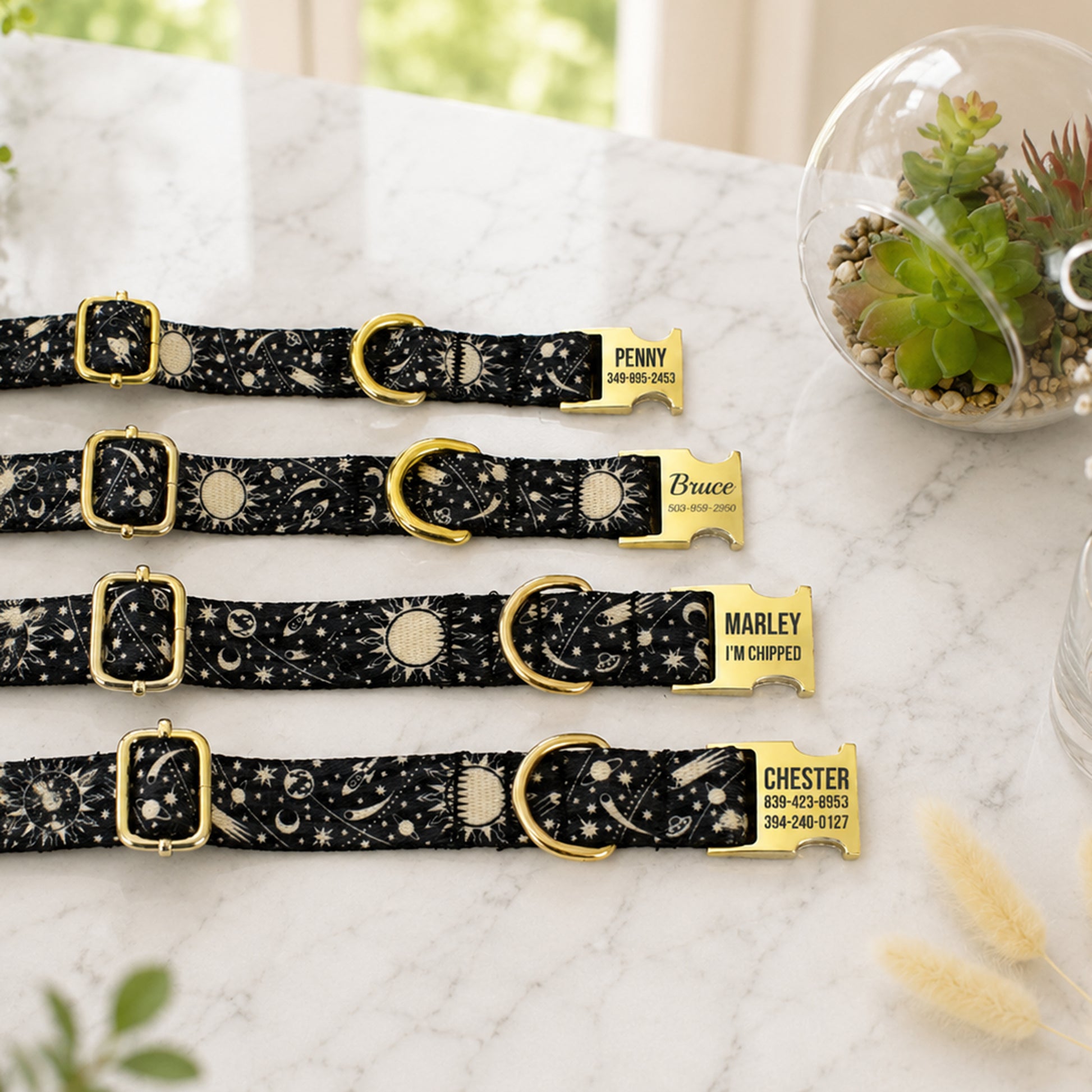 Four black dog collars with gold buckles and engraved names on a marble surface.