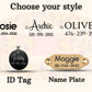 Donut Dog Collar with ID Tag