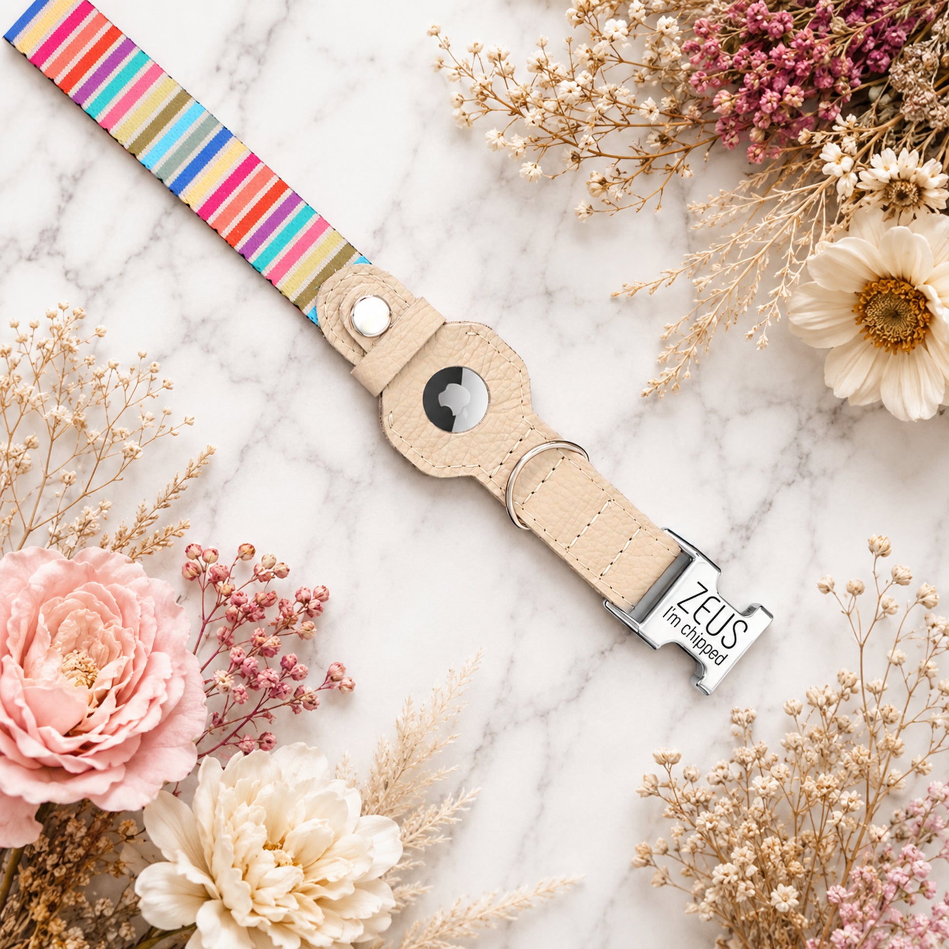 Dog collar with colorful strap on a marble surface with flowers